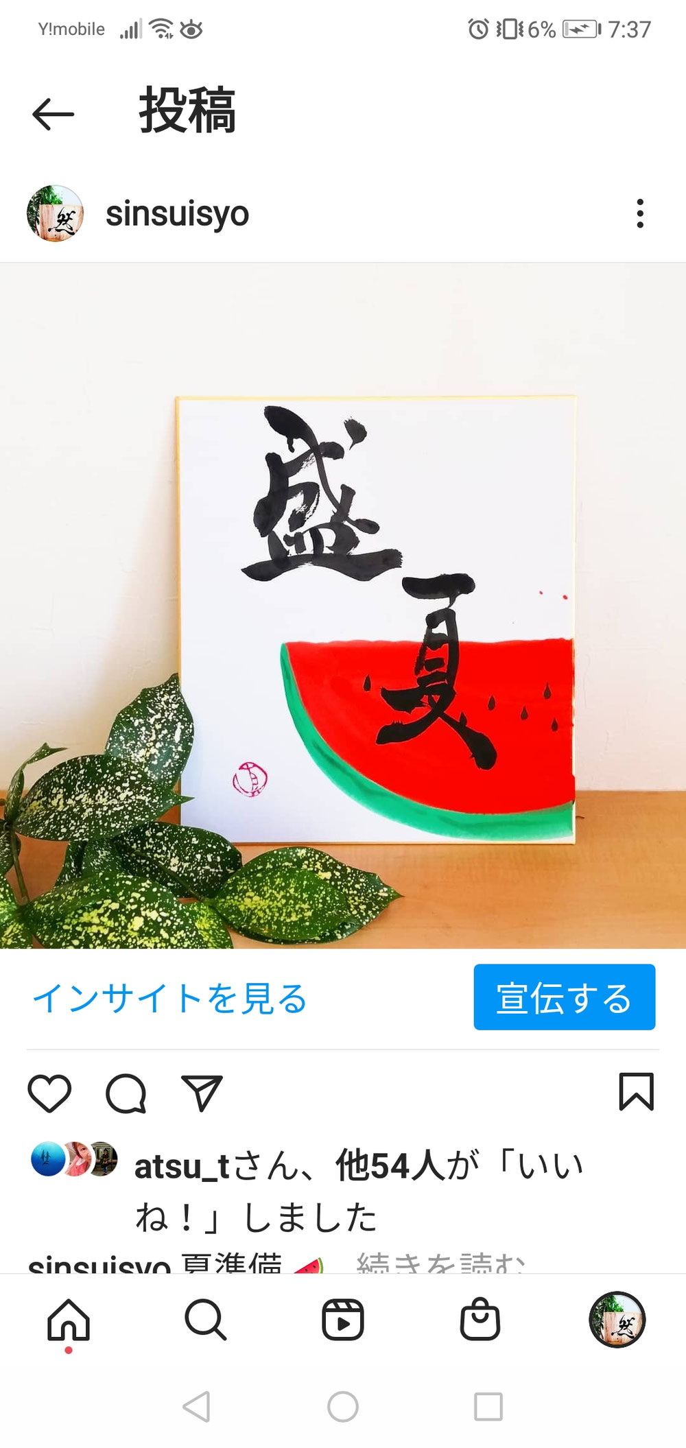 盛夏