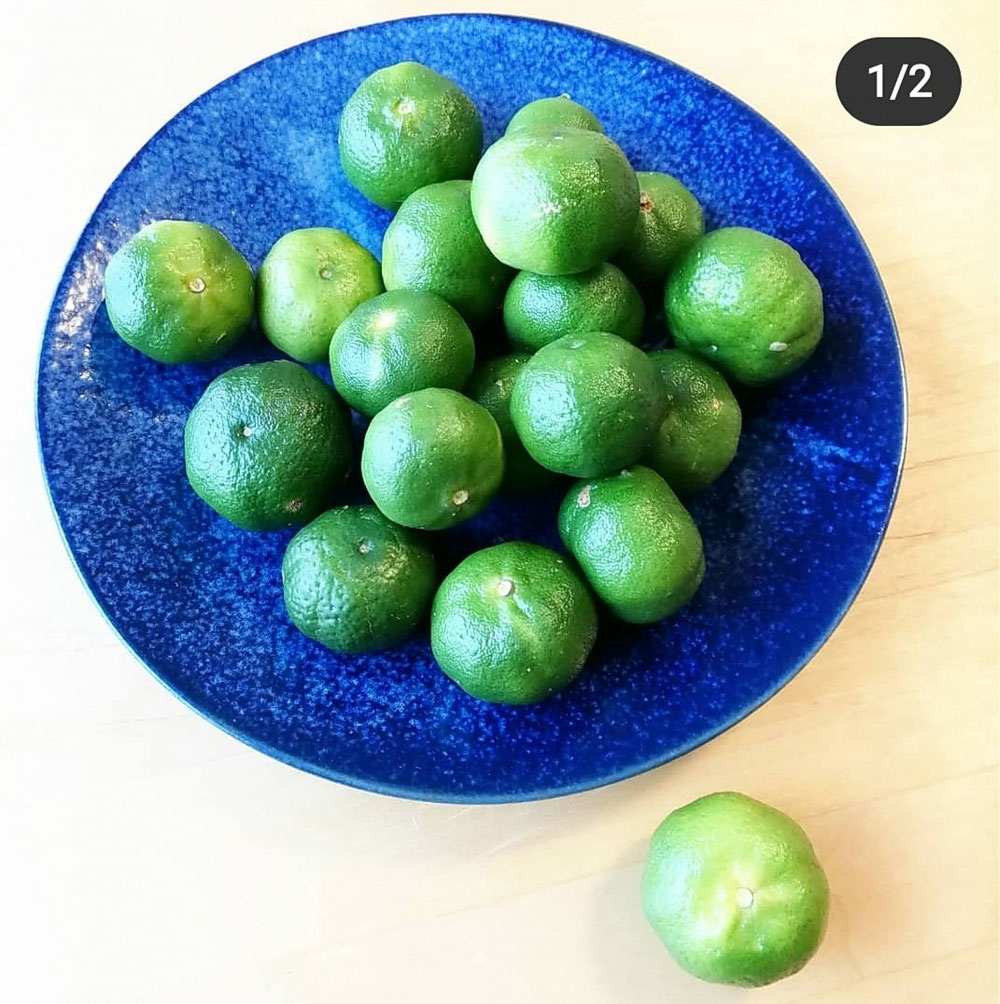 一杯貰ったよ