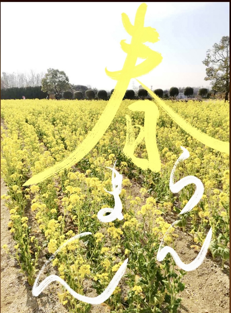 春らんまん