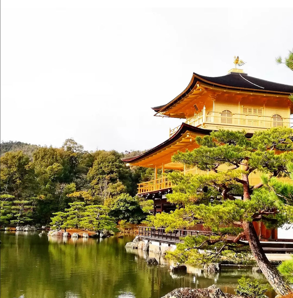 元旦の金閣寺